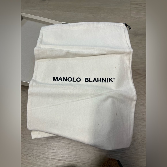 Manolo Blahnik Flat Thong Sandals with Buckle Closure in Bronze Gold color - Picture 9 of 10